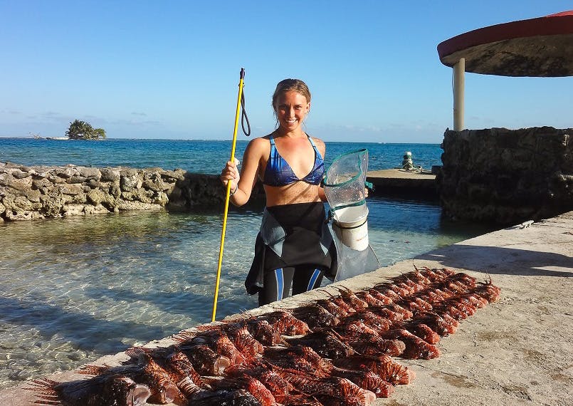 Helped remove 8,662 Invasive Lionfish from the Marine Reserve Park waters.