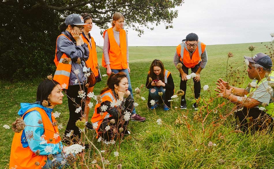 Helped plant 200,000 native trees to date.