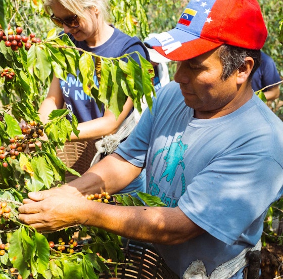 Our collaboration with local organizations