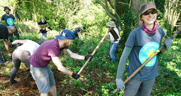 Contributes to United Nations’ Sustainable Development Goal #13: Climate Action