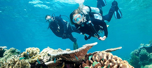 Contributes to United Nations’ Sustainable Development Goal #14: Life Below Water