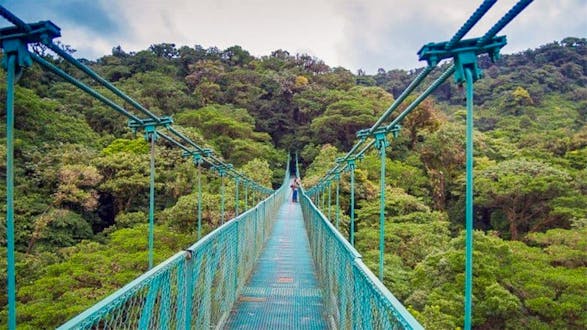 San Luis Hanging Bridges (Full Day) - San Jose