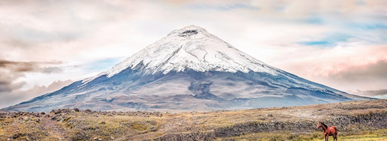 Cotopaxi National Park (Full Day)