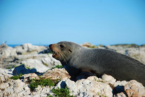 Coastal Conservation (Friday to Friday)
