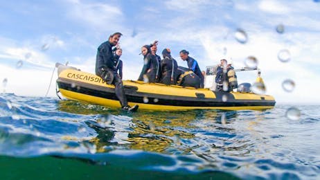 Scuba Diving for Beginners