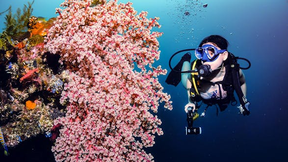 PADI Open Water Diver Certification (5 nights/4 days)