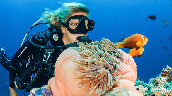 PADI Specialty Course: Underwater Navigator (3 days)