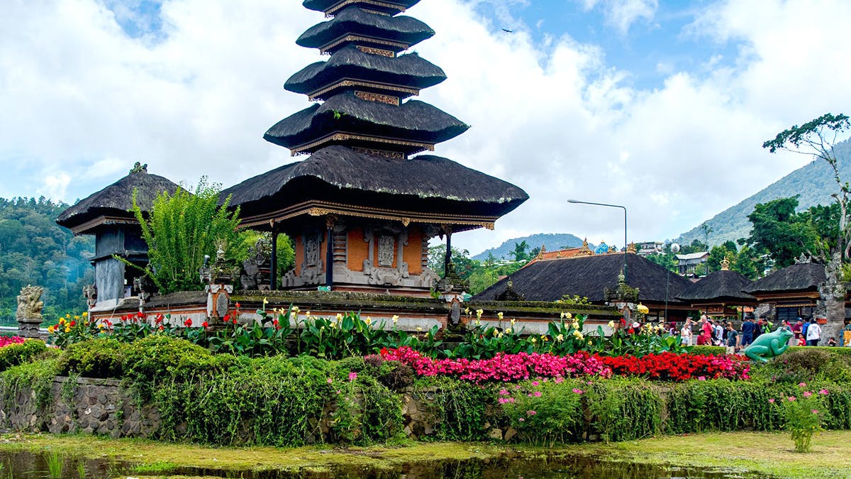 Volunteer In Bali, Indonesia | World's #1 Rated Programs | IVHQ