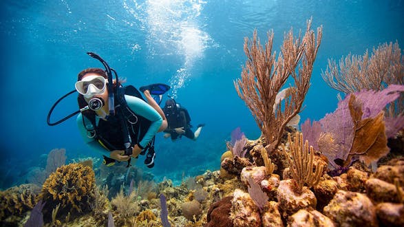 PADI Open Water Certification (3 days)