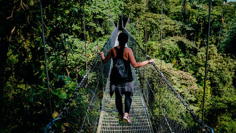 Jungle Night Tour  - Manuel Antonio