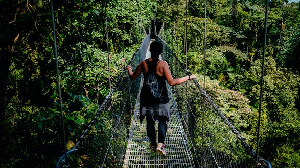 Jungle Night Tour (Half Day) - Manuel Antonio