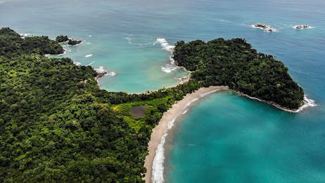Manuel Antonio National Park (Half Day) - Manuel Antonio