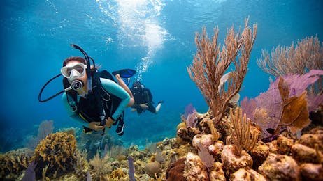 PADI Scuba Dive Certification - Manuel Antonio