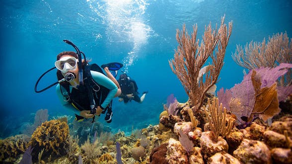 PADI Scuba Dive Certification (7 days, 6 nights) - Manuel Antonio