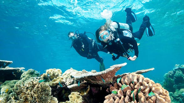 Scuba Discovery Weekend - Manuel Antonio