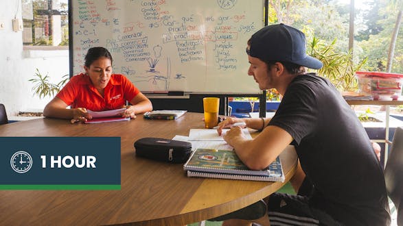 Spanish Language Lesson - Manuel Antonio - Private 1 hour/day