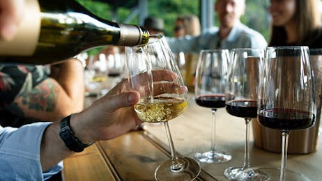 Wine Tasting Experience - San Jose