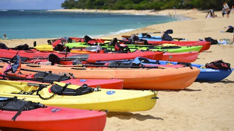 El Paredon Beach (Full Day)
