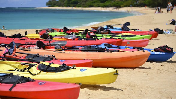 El Paredon Beach (Full Day)