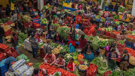 Museum & Market Tour (Half Day)