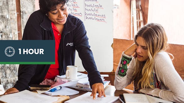 Spanish Language Lesson - Private 1 hour/day