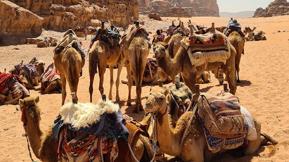 Three Day South Jordan Experience