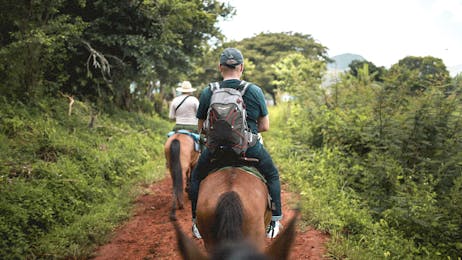 Horseback Riding (Half day)