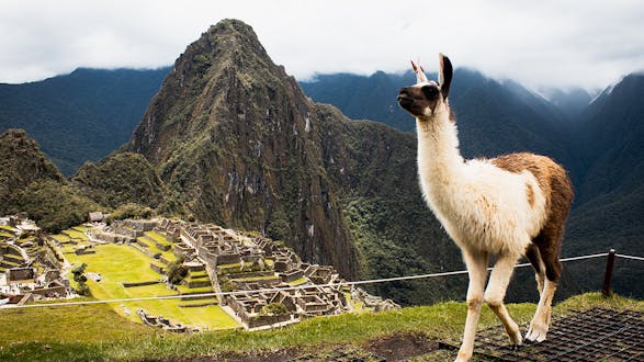 Machu Picchu Overnight Tour - Standard (2 days, 1 night)