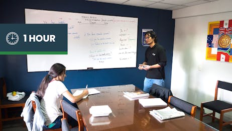 Spanish Language Lesson - Private 1 hour/day