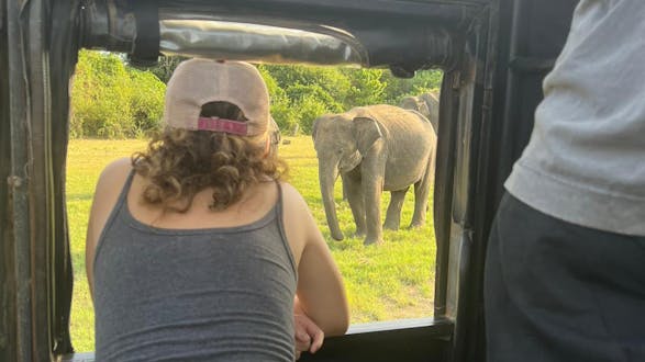 Lion's Rock Fortress and Safari - 1 night/2days