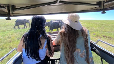 Kitoto Safari 