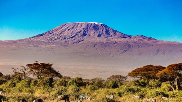 Mt. Kilimanjaro Day Hike