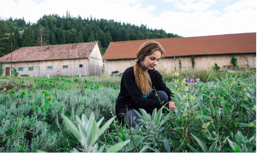 Best Summer Volunteer Abroad Programs Romania