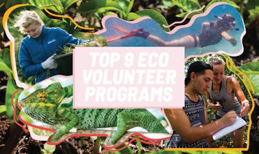 Top 9 Eco Volunteer Programs with IVHQ