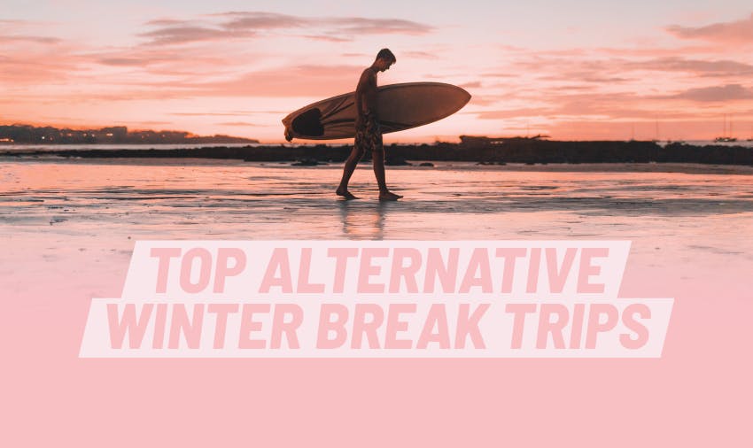 Msu Winter Break 2025
