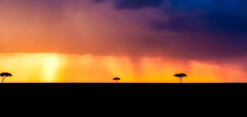 Volunteer programs for grown ups