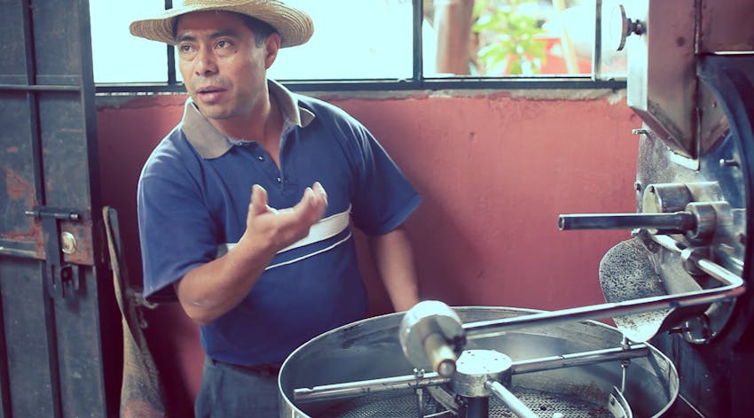 Environmental volunteer opportunities in Guatemala