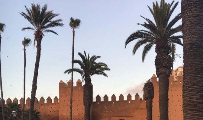 Environmental volunteering opportunities in Morocco