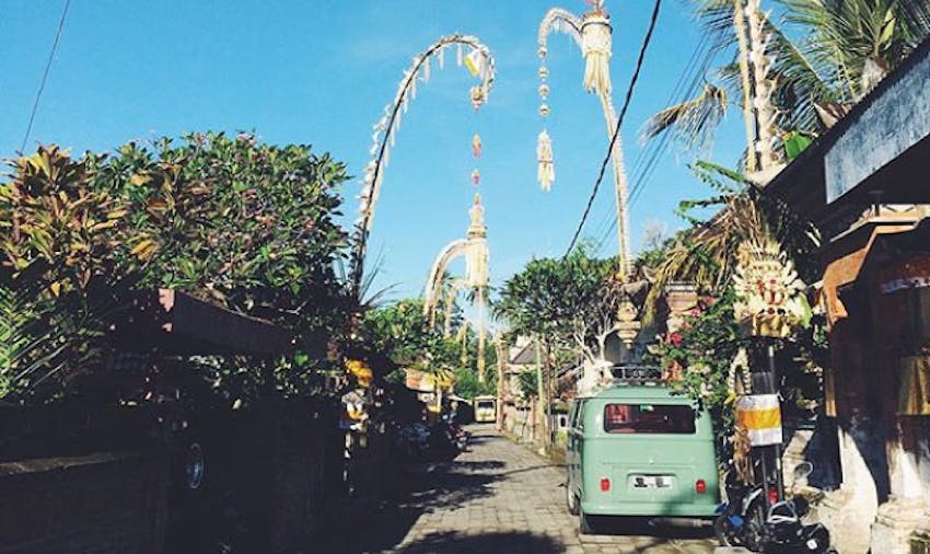 Volunteer in Bali with IVHQ