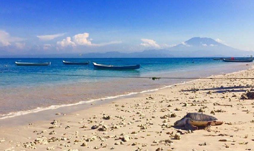 Volunteer in Bali with IVHQ