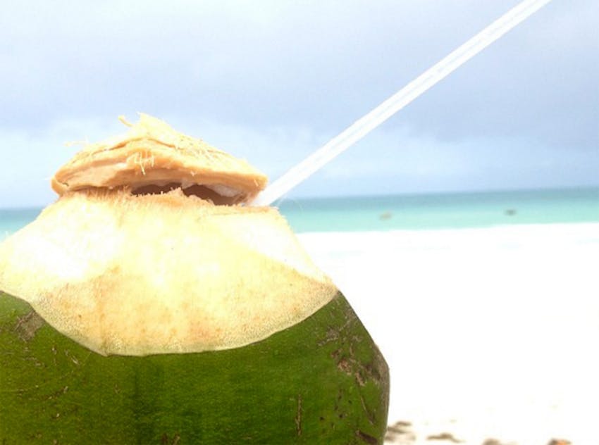 Be water wise as a volunteer in Bali with IVHQ