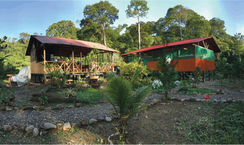 Detox from the internet by volunteering in Peru