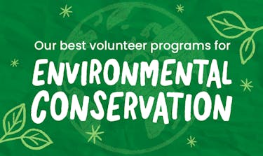 Green header image with Our Best Volunteer Programs for Environmental Conservation text, a world image and leaves