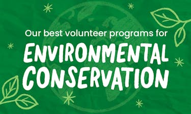 Green header image with Our Best Volunteer Programs for Environmental Conservation text, a world image and leaves