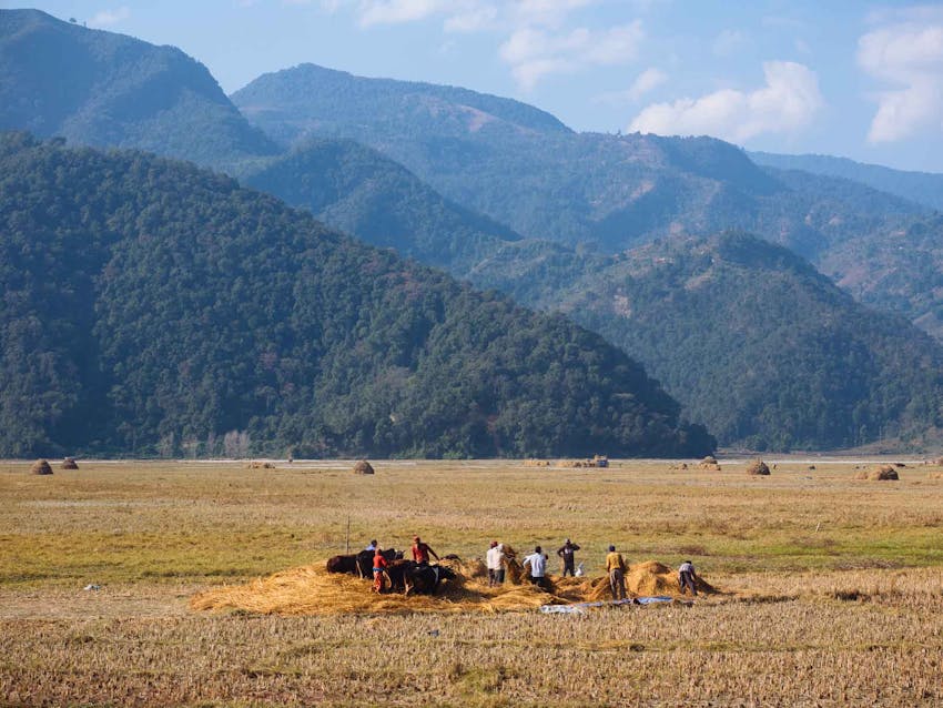 Sustainable Agriculture volunteering in Nepal with IVHQ