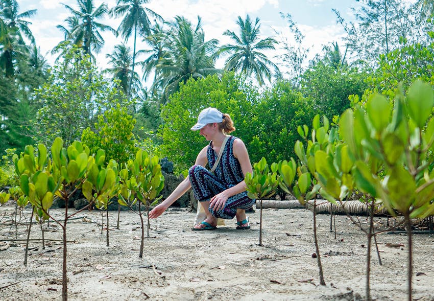 Rainforest and Coastal Conservation volunteering in Zanzibar with IVHQ