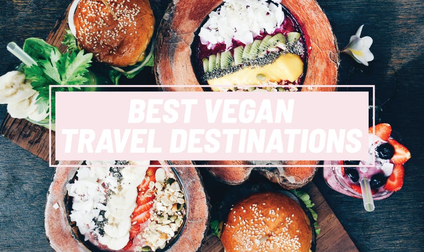 Best Vegan Travel Destinations 2024