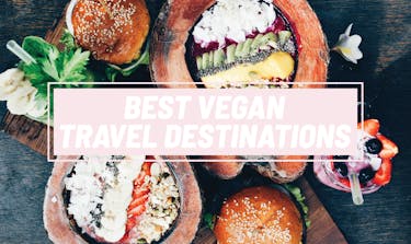 Best Vegan Travel Destinations | Top Picks For Vegan Travelers 2025