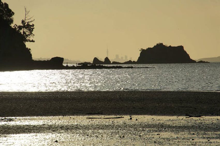 Looking over Auckland City, New Zealand with IVHQ