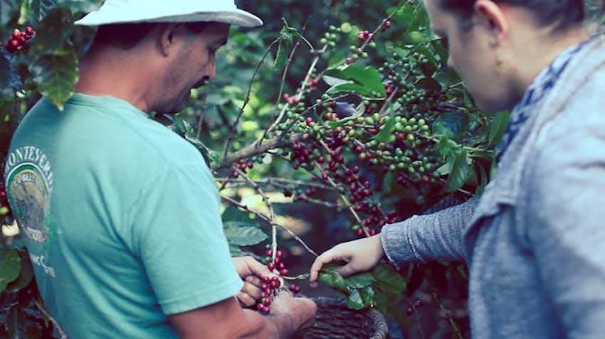 Eco Ag project in Costa Rica with IVHQ